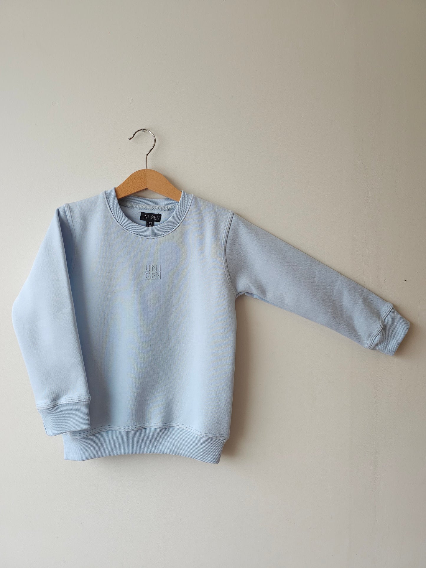 Sweatshirt Sky Blue